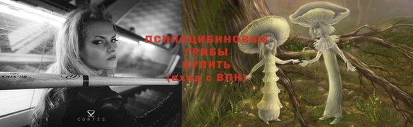 амф Абинск