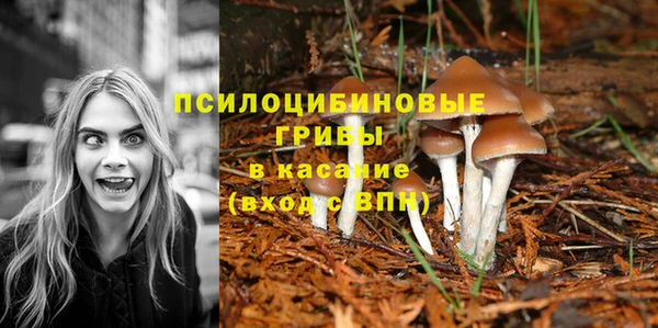 амф Абинск