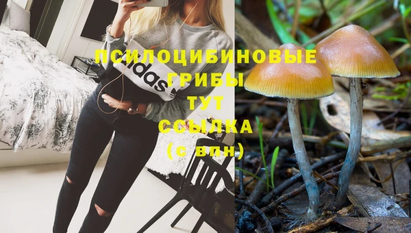 метадон Абдулино