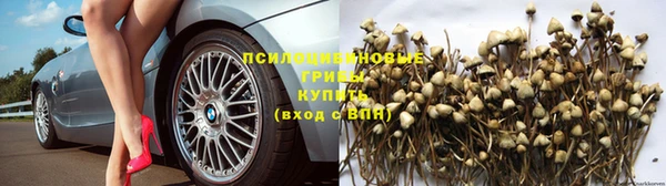 амф Абинск